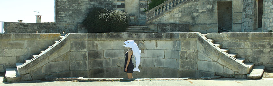 La poisson dans le bassin Les Terrasses du château